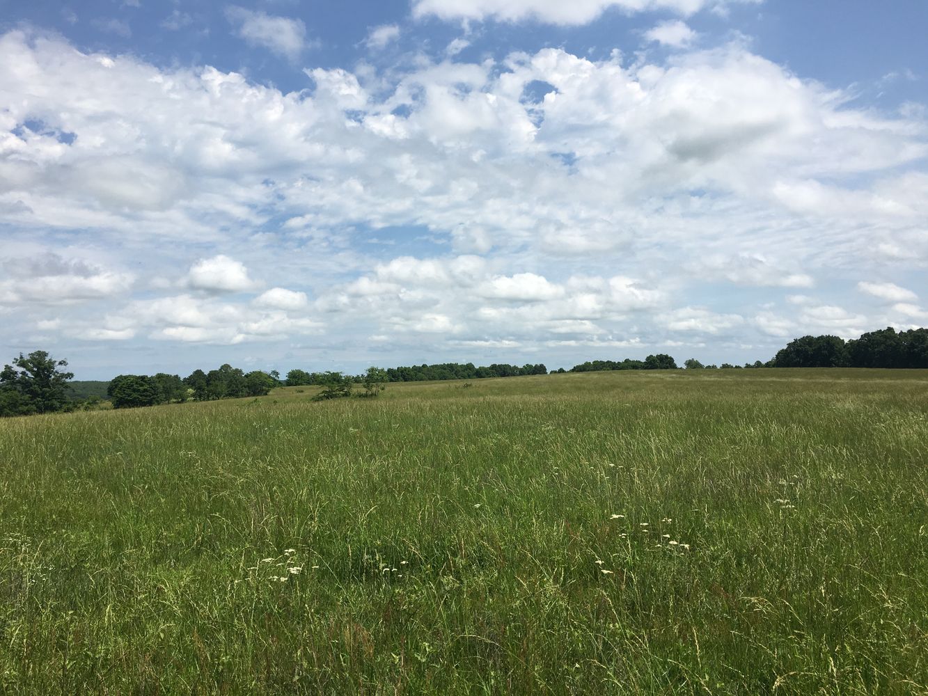 4897 & 4878 Norman Drive, Hartville, MO 65667
